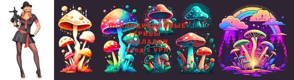 кокаин колумбия Ветлуга
