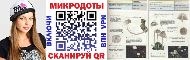 маркетплейс телеграм  Ржев  Псилоцибиновые грибы мицелий 