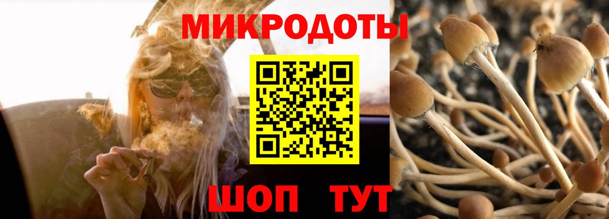 Ржев  Псилоцибиновые грибы GOLDEN TEACHER  Вход с VPN  Галлюциногенные грибы прущие грибы 