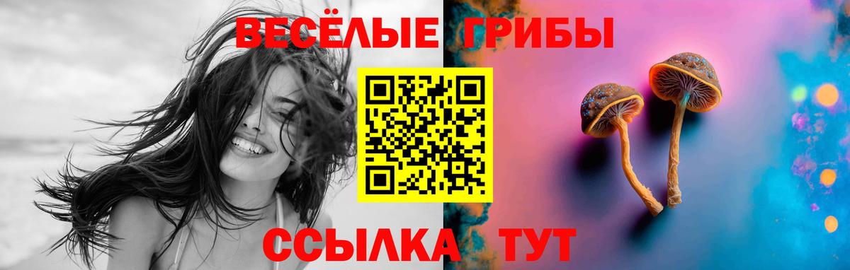 МЕФ кристаллы  Кокаин  Ржев  Вход с VPN  A-PVP СОЛЬ кристаллы  ГАШИШ  Канабис 